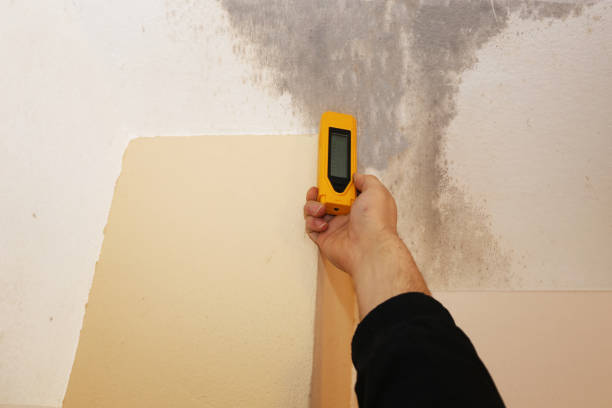 Best Air Quality Testing for Mold Spores  in Meggett, SC