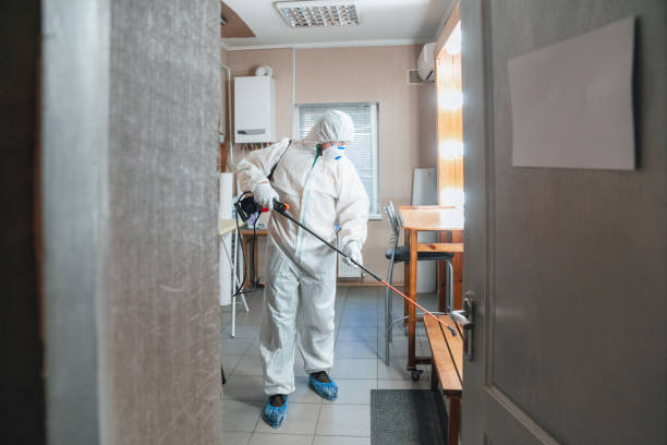 Best HVAC Mold Inspection and Cleaning  in Meggett, SC