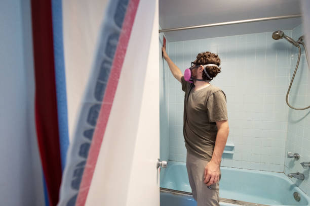 Best Mold Prevention Services  in Meggett, SC