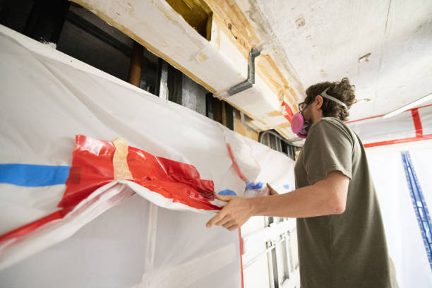 Best Mold Removal for HVAC Installations  in Meggett, SC