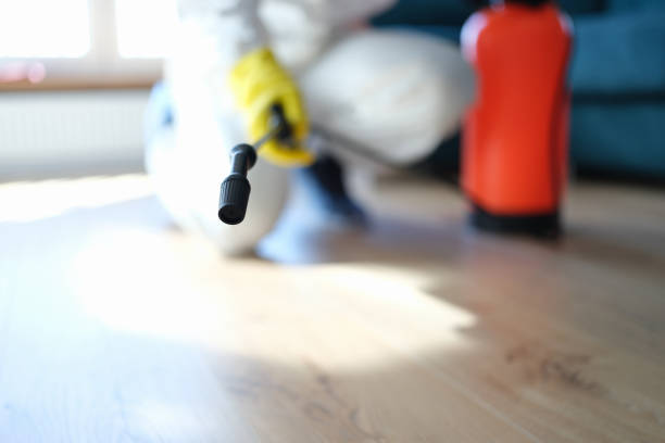 Best Asbestos and Lead Testing During Mold Inspection  in Meggett, SC