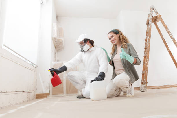 Best Attic Mold Removal  in Meggett, SC