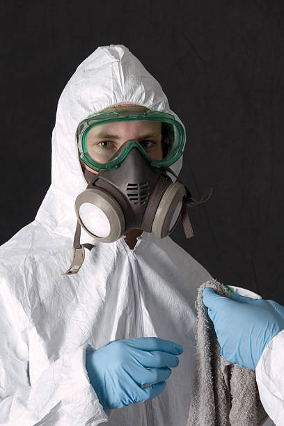 Best Industrial Mold Remediation  in Meggett, SC